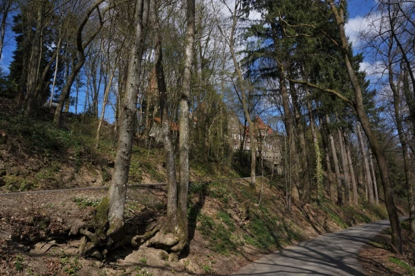 Дорога к аббатству