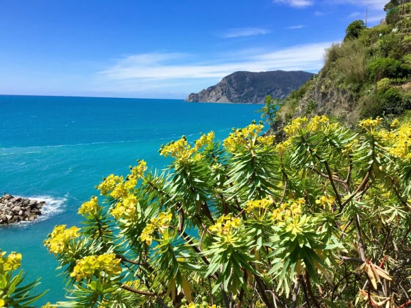 Панорама Лигурийского моря