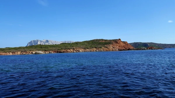 О. Морала и о. Таволара