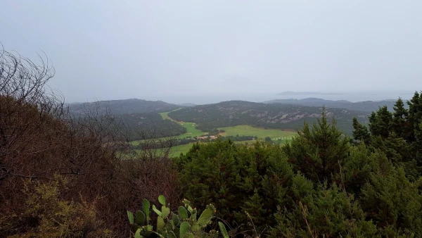 Видимость сильно страдает из-за дождя