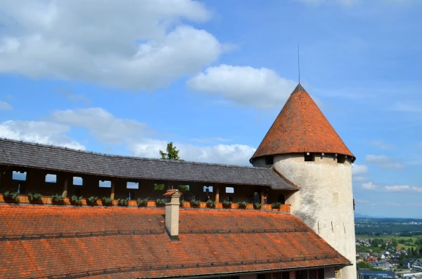 Бледский замок