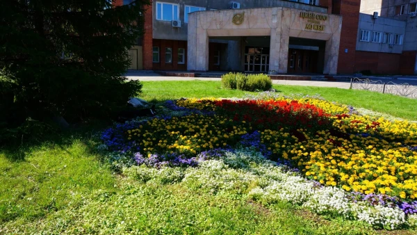 Красноармейский проспект. Воскресенье, 10 утра - собачки уютно устроились на отдых после ночной смены