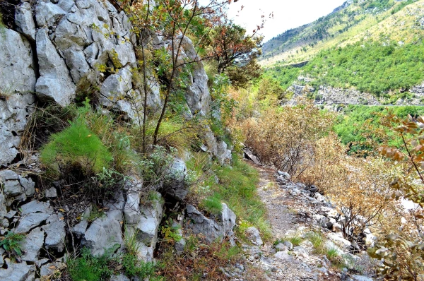 В каньоне реки Морача