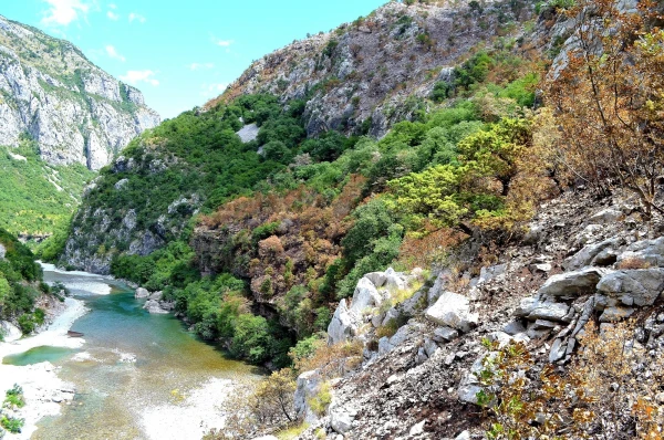 В каньоне реки Морача