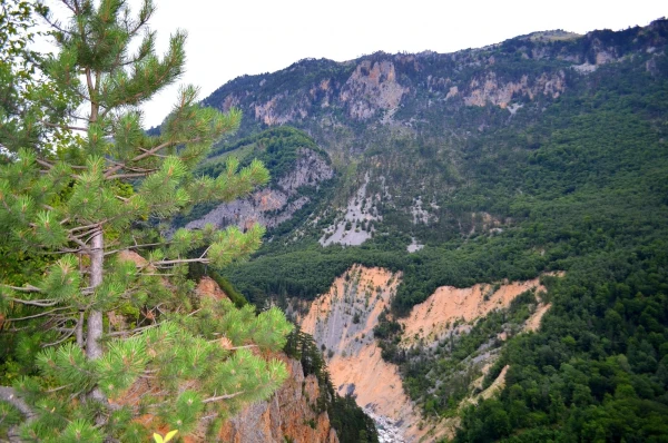 Каньон реки Тара