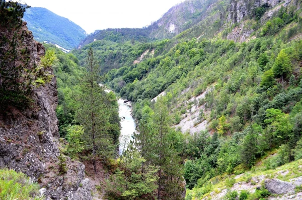 Каньон реки Тара