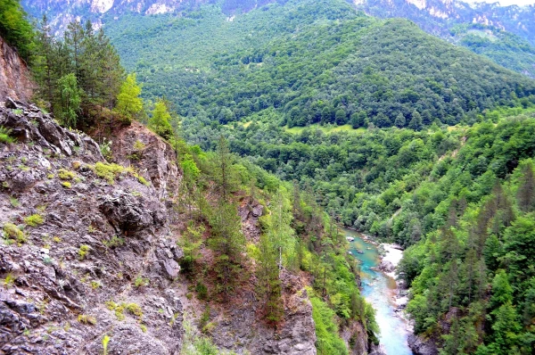Каньон реки Тара