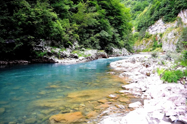 Каньон реки Тара