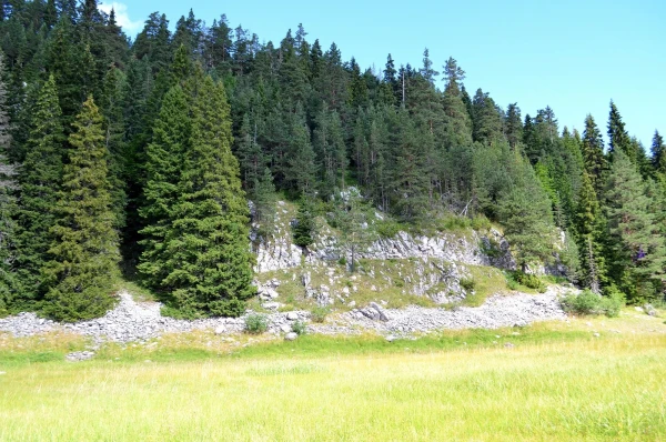 Нацпарк Дурмитор. 