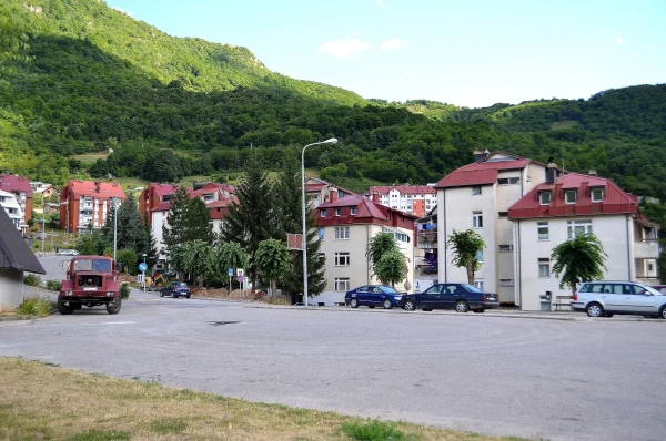 Город Плужине