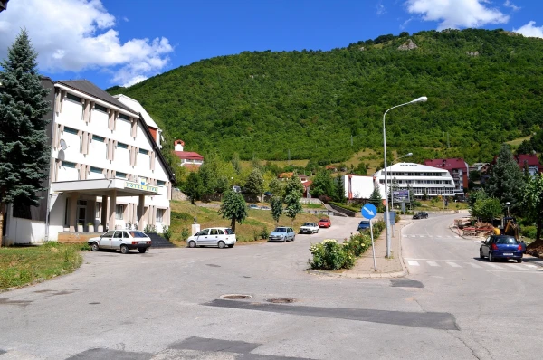 Город Плужине
