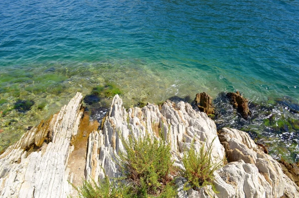 Чистейшая водичка в Которской бухте