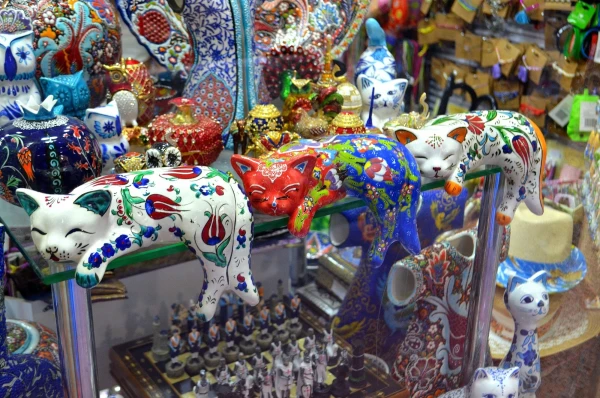 Которские кошки в витрине магазина