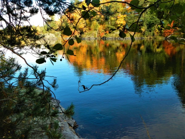 Краски осени