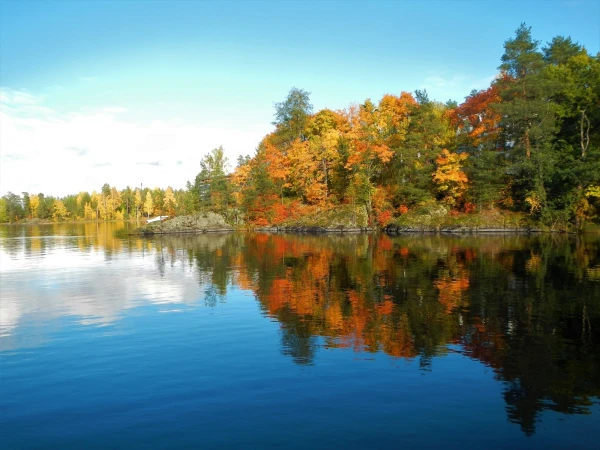 Краски осени
