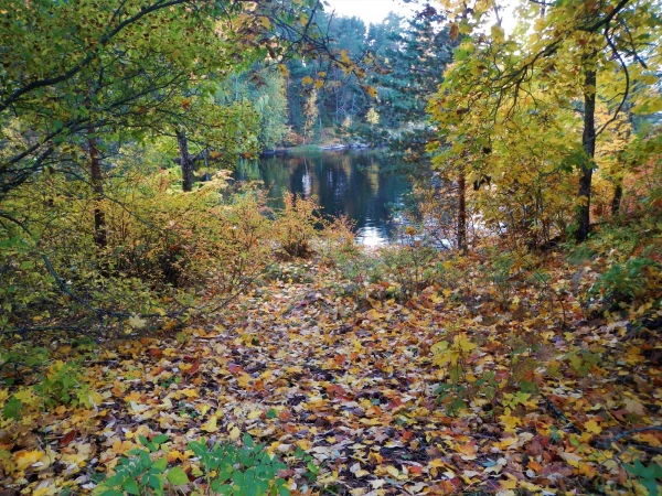 Берега Саймаа