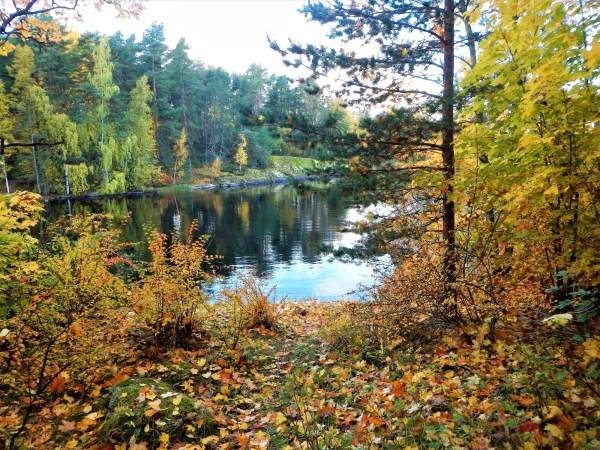 Берега Саймаа