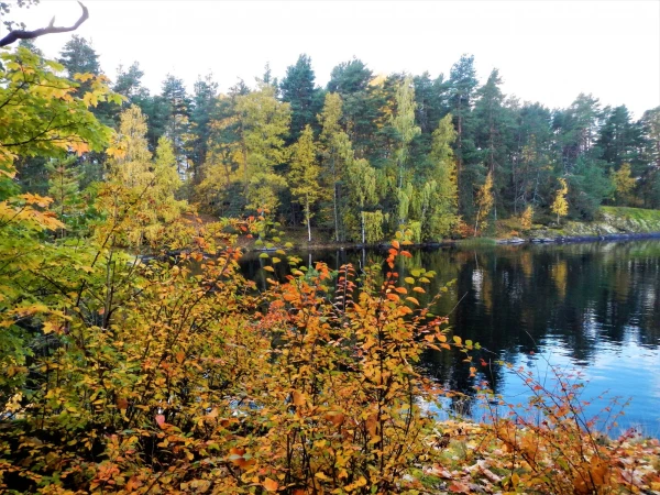 Краски осени