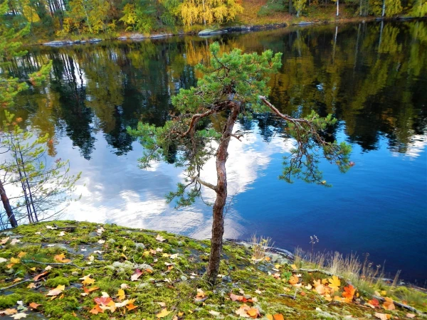 Краски осени