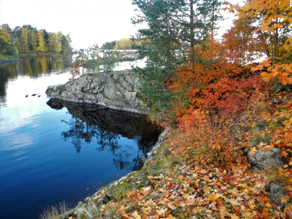 Краски осени