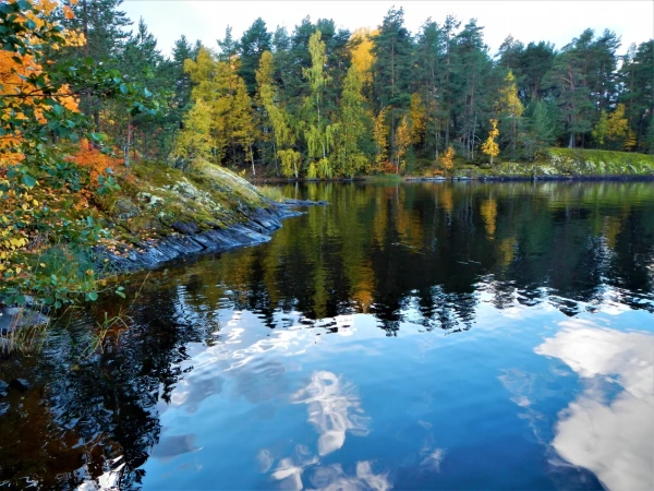 Краски финской осени