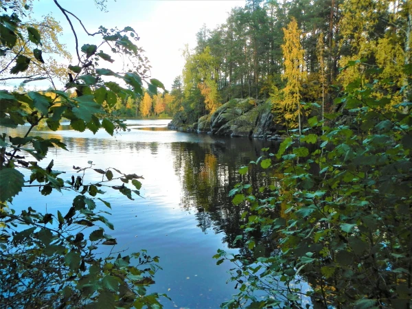 На острове