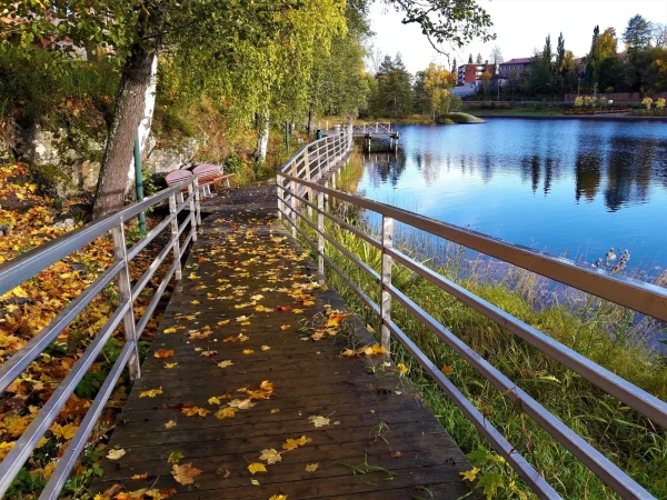 Берега Саймаа