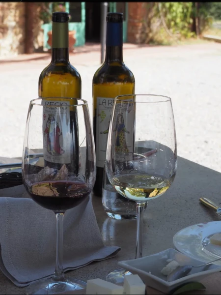 Дегустация биологического вина на ферме" Podere il Casale"