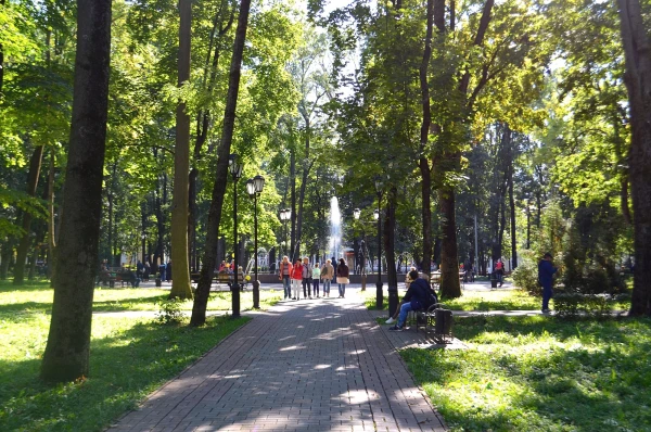 В парке Блонье
