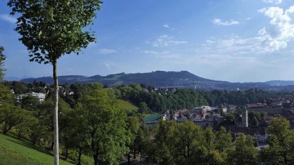 Берн хорош круглый год! Август, панорама из розового сада Rosengarten Bern