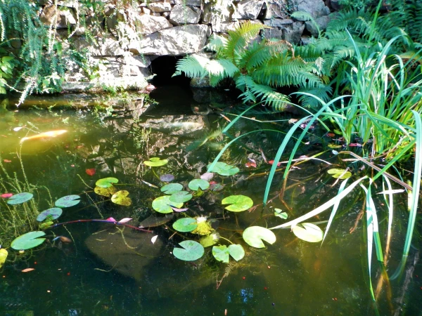 В  Parco Scherrer