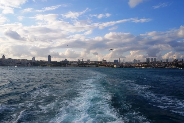 На морской прогулке