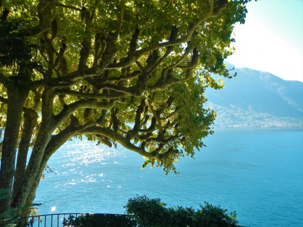 Вилла Бальбьянелло VILLA BALBIANELLO