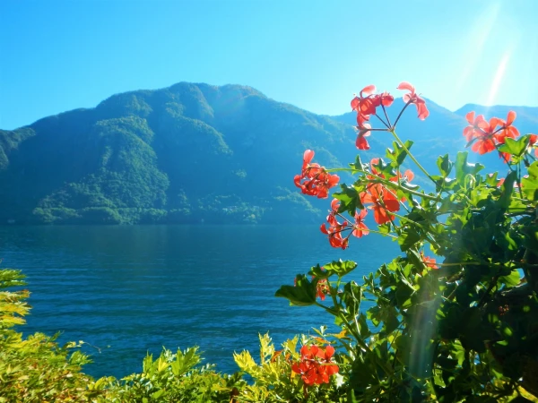 Вилла Бальбьянелло VILLA BALBIANELLO