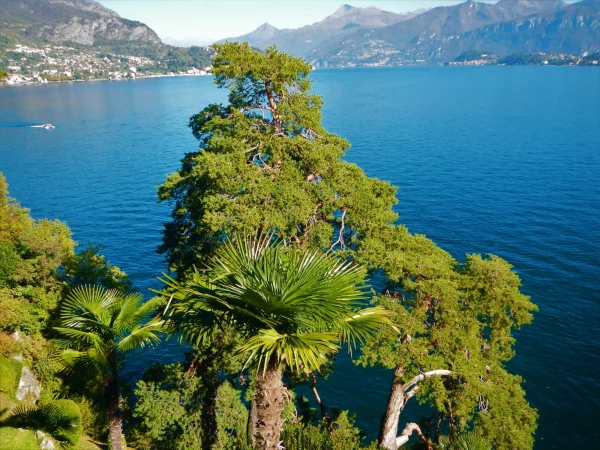 Вилла Бальбьянелло VILLA BALBIANELLO