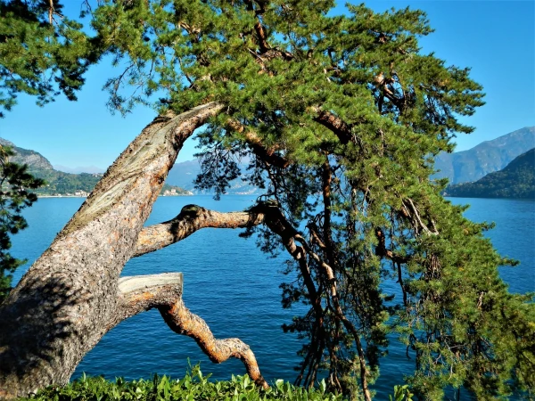Вилла Бальбьянелло VILLA BALBIANELLO