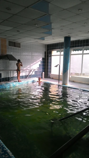 Hotel Nagyerdo,бассейн с термальной водой