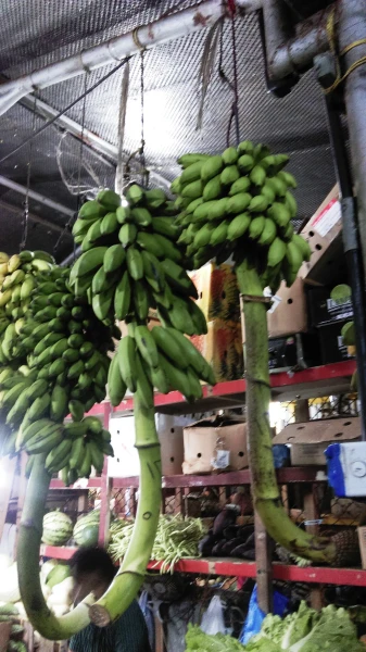 Male Local Market