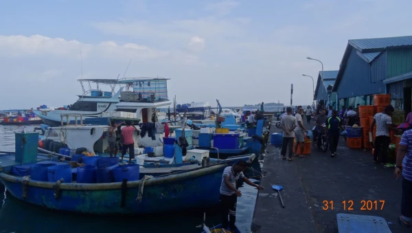 Male Fish Market