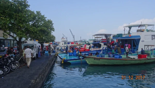 Male Fish Market