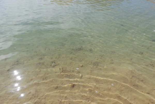цвет водички