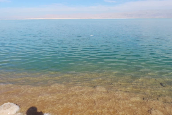 цвет водички