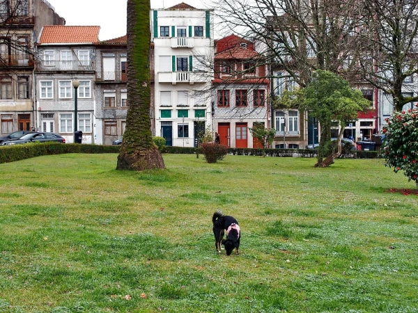 Praca de Republica