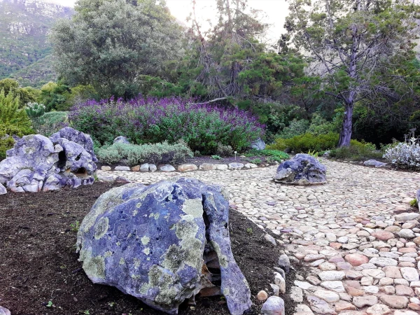 Ботанический Сад Kirstenbosch National Botanical Garden