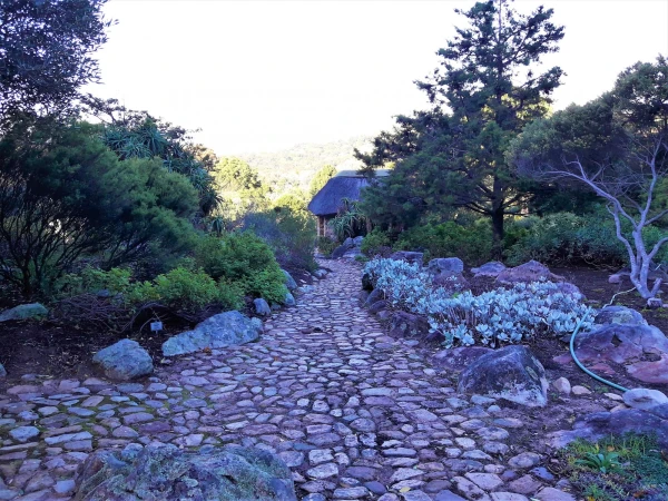 Ботанический Сад Kirstenbosch National Botanical Garden