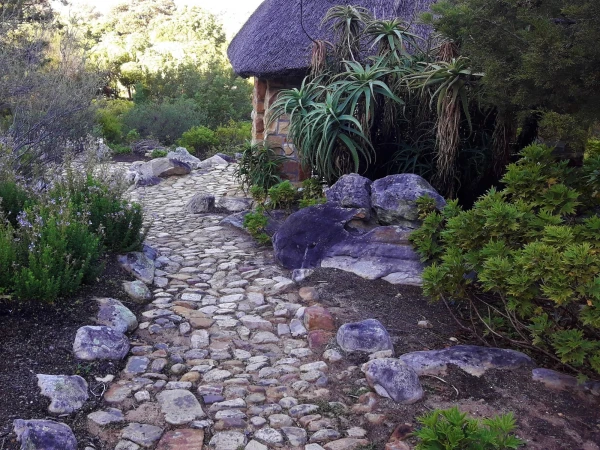 Ботанический Сад Kirstenbosch National Botanical Garden