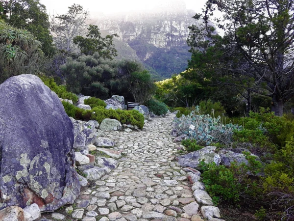 Ботанический Сад Kirstenbosch National Botanical Garden