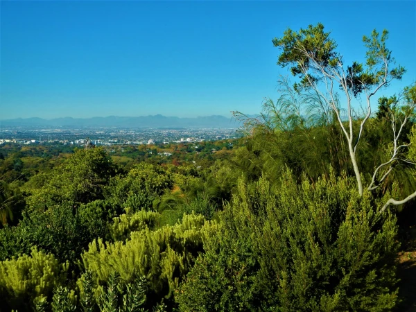 Ботанический Сад Kirstenbosch National Botanical Garden