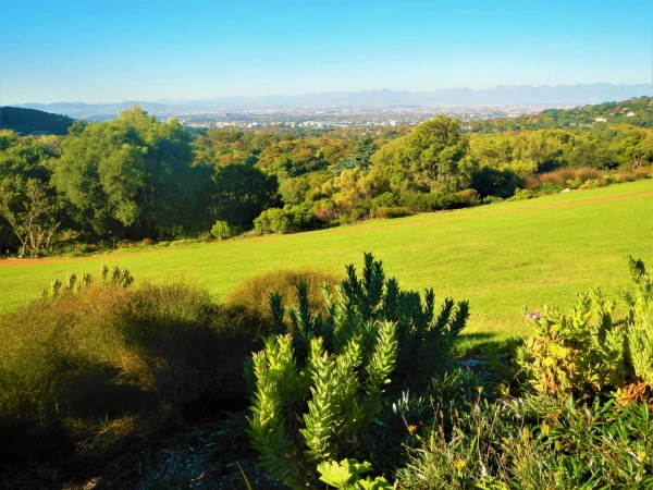 Ботанический Сад Kirstenbosch National Botanical Garden