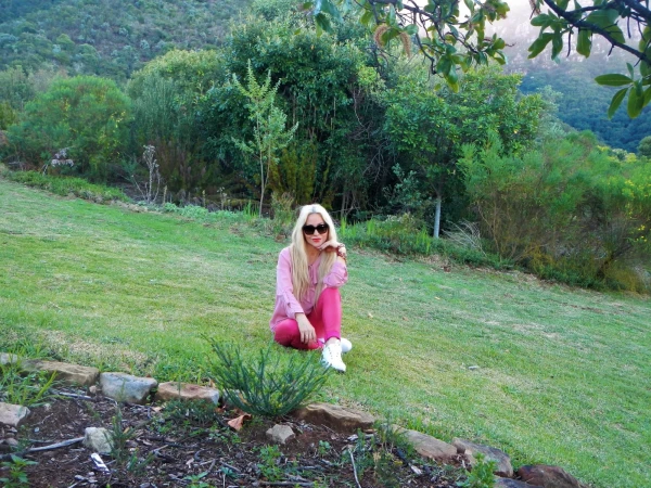Ботанический Сад Kirstenbosch National Botanical Garden